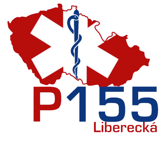 Logo P155 ZZS LK